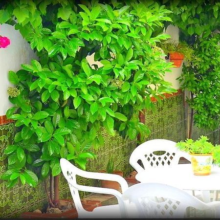 הוילה לה זוביה El Rincon De La Rosa מראה חיצוני תמונה